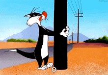 IPv6 Error